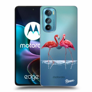 Maskica za Motorola Edge 30 - Flamingos couple