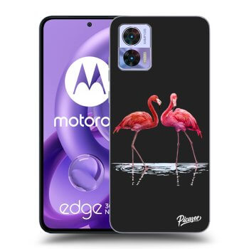 Maskica za Motorola Edge 30 Neo - Flamingos couple