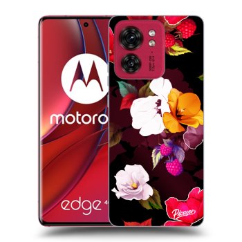 Maskica za Motorola Edge 40 - Flowers and Berries