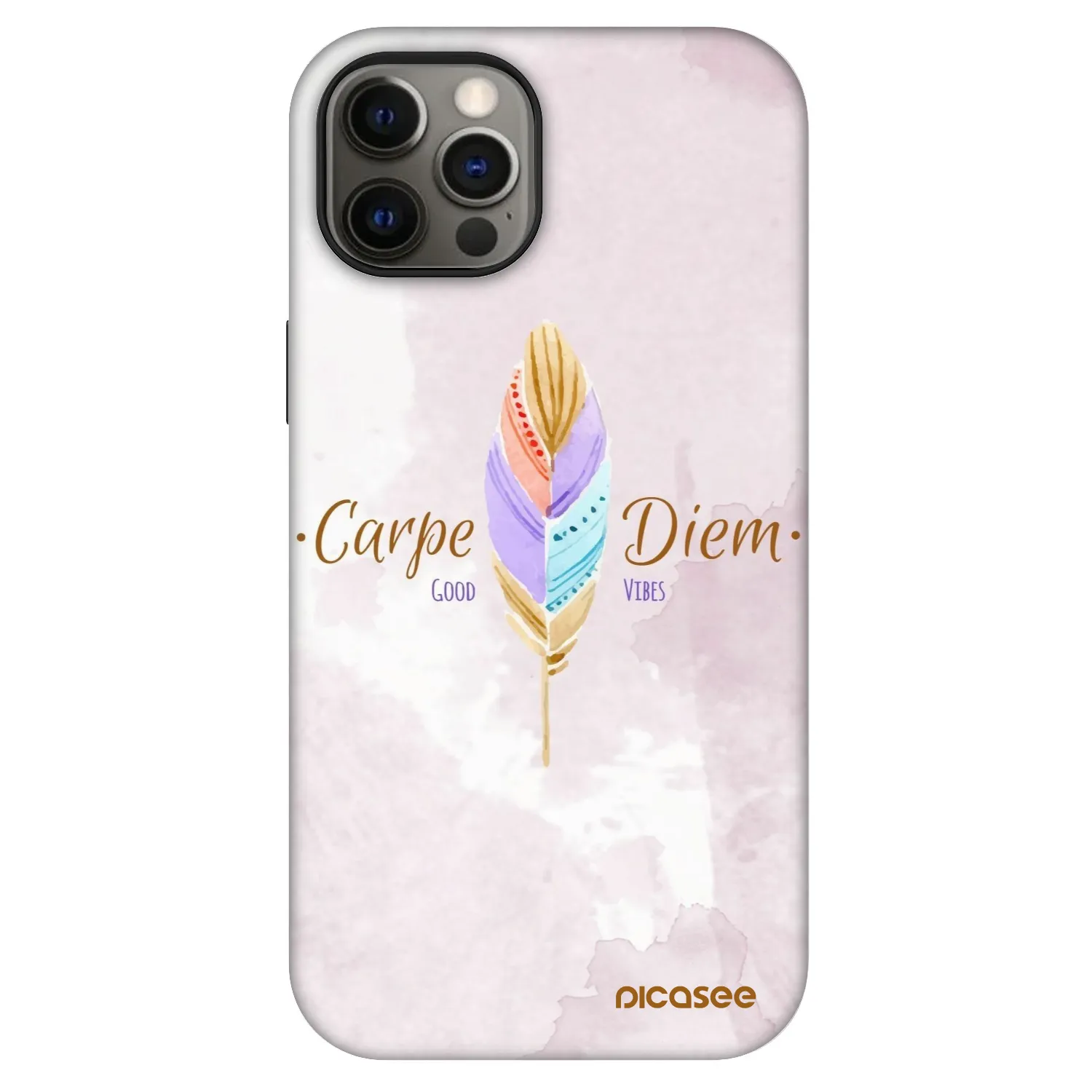 Picasee Fashion Case MagSafe za Apple iPhone 12 - Carpe Diem