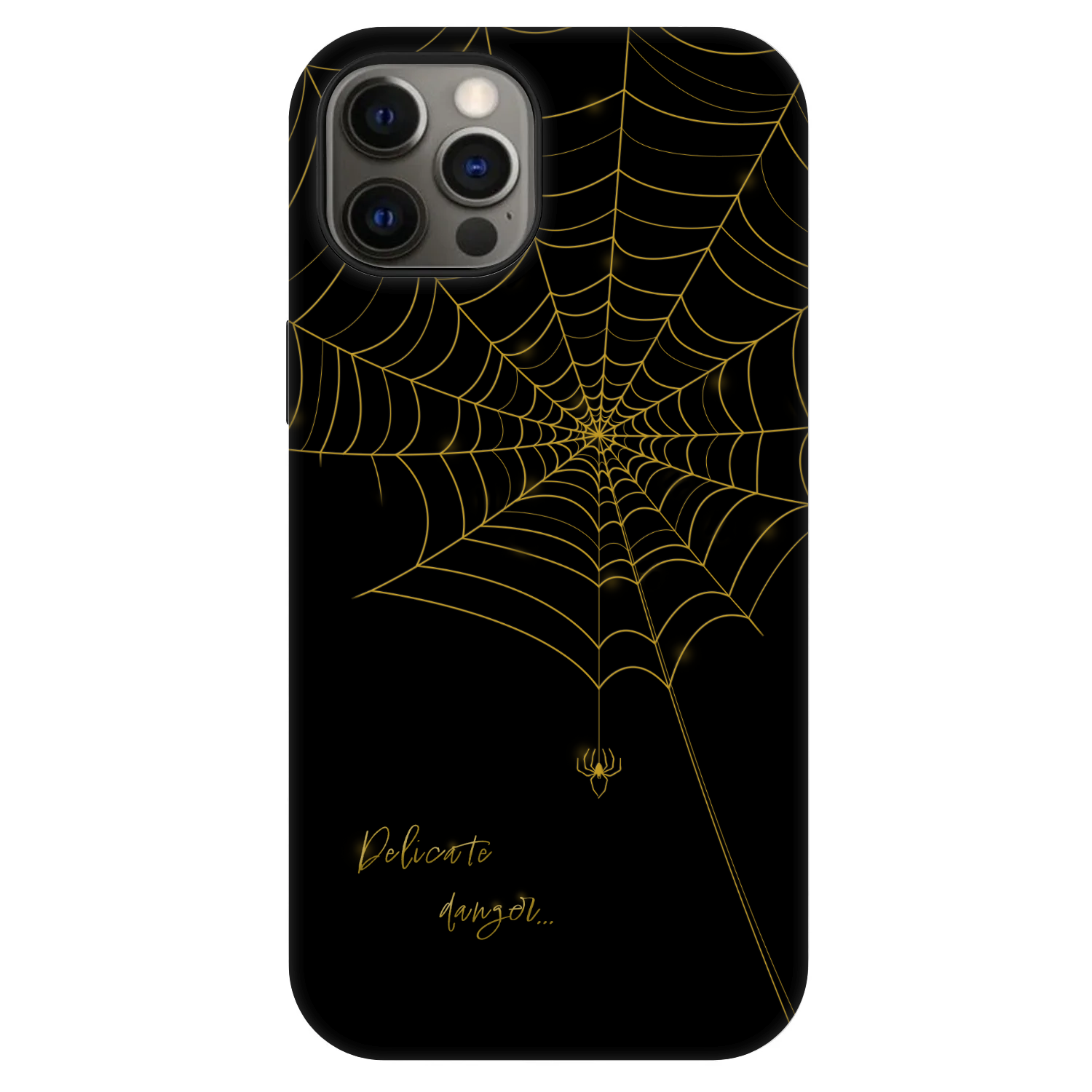 Picasee Fashion Case MagSafe za Apple iPhone 12 - Delicate danger