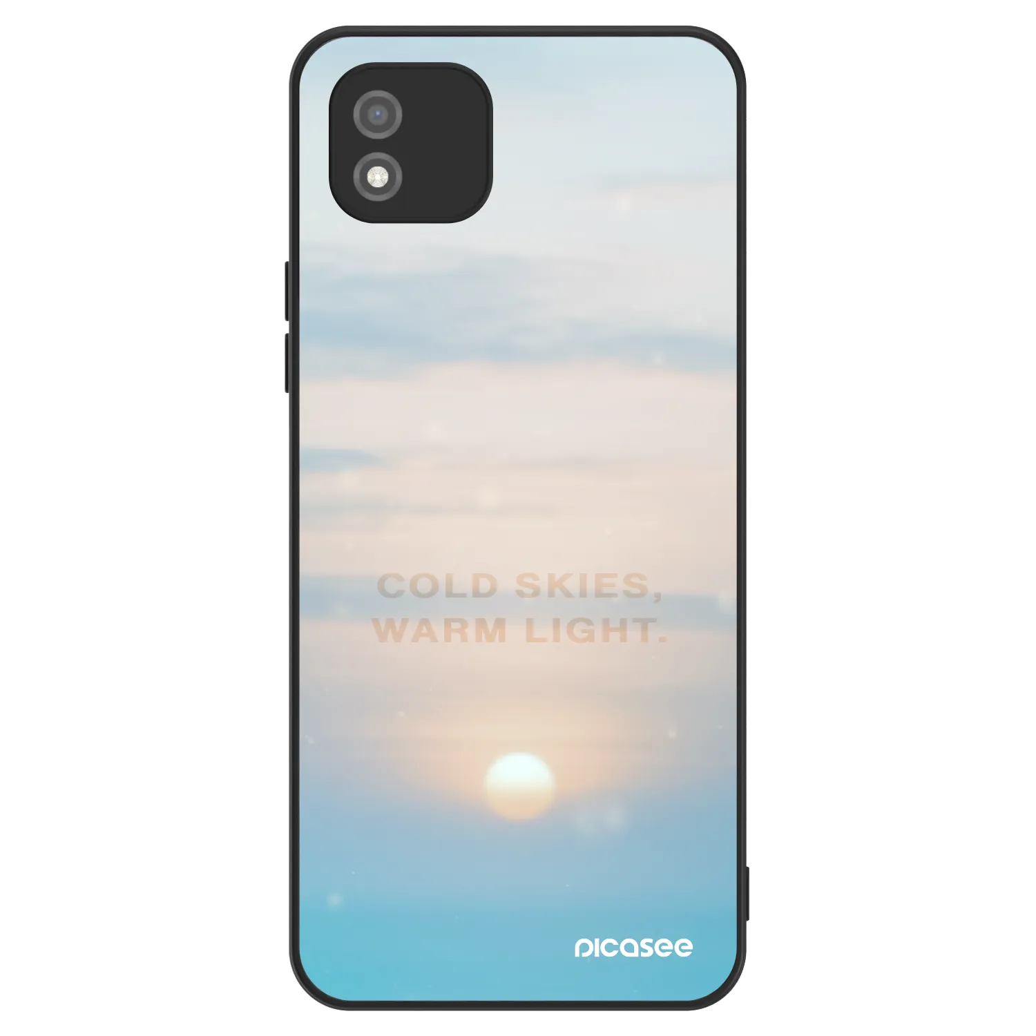 Picasee ULTIMATE CASE za Realme C11 (2021) - COLD SKIES