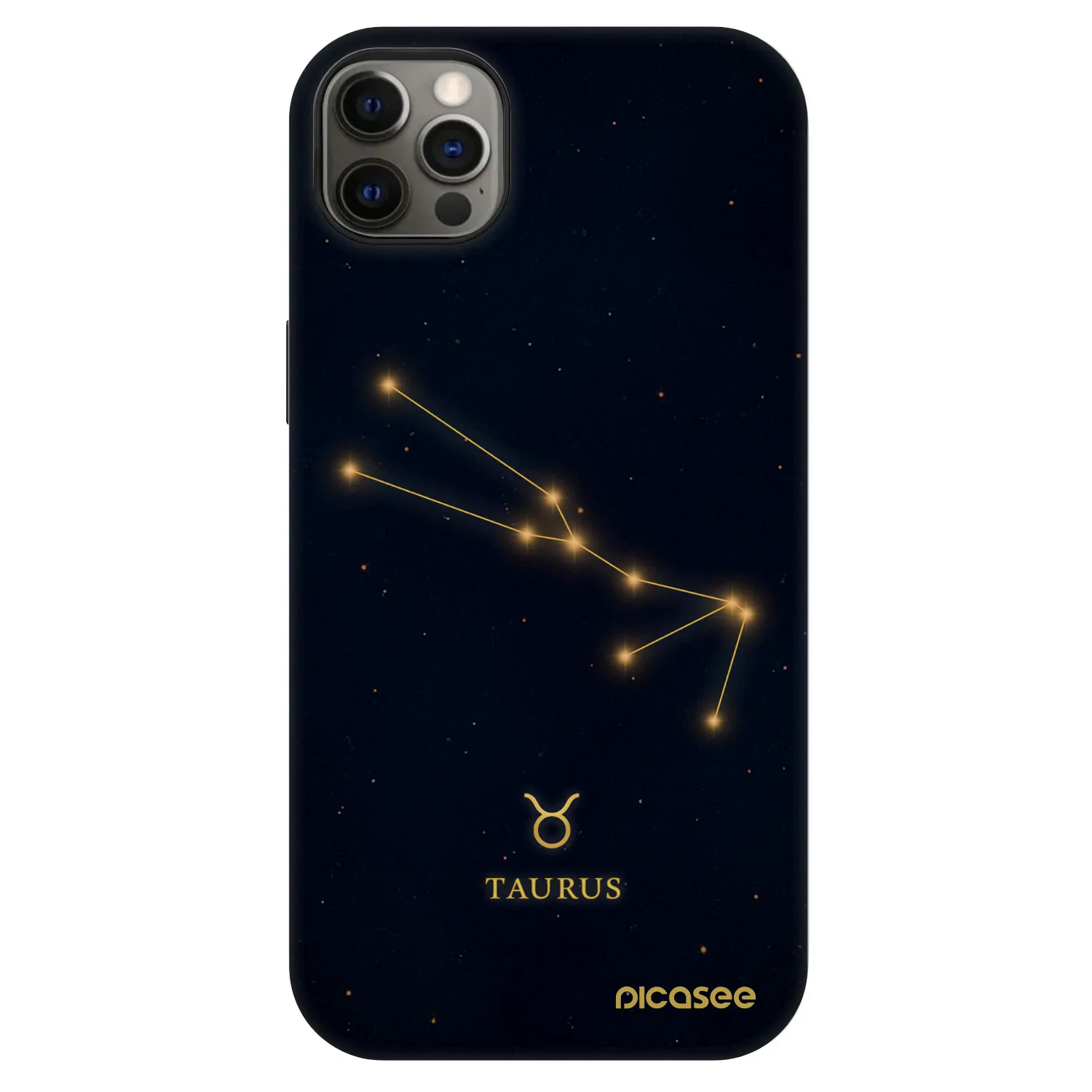 Picasee Fashion Case MagSafe za Apple iPhone 12 Pro Max - TAURUS
