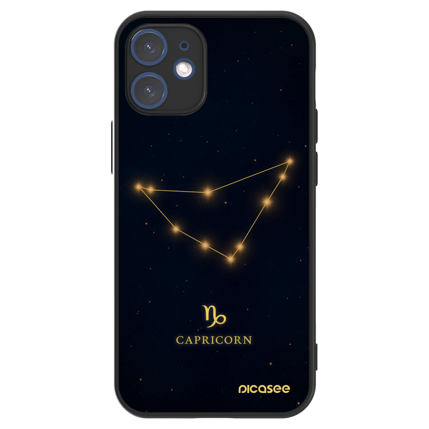 Picasee ULTIMATE CASE za Apple iPhone 12 mini - CAPRICORN
