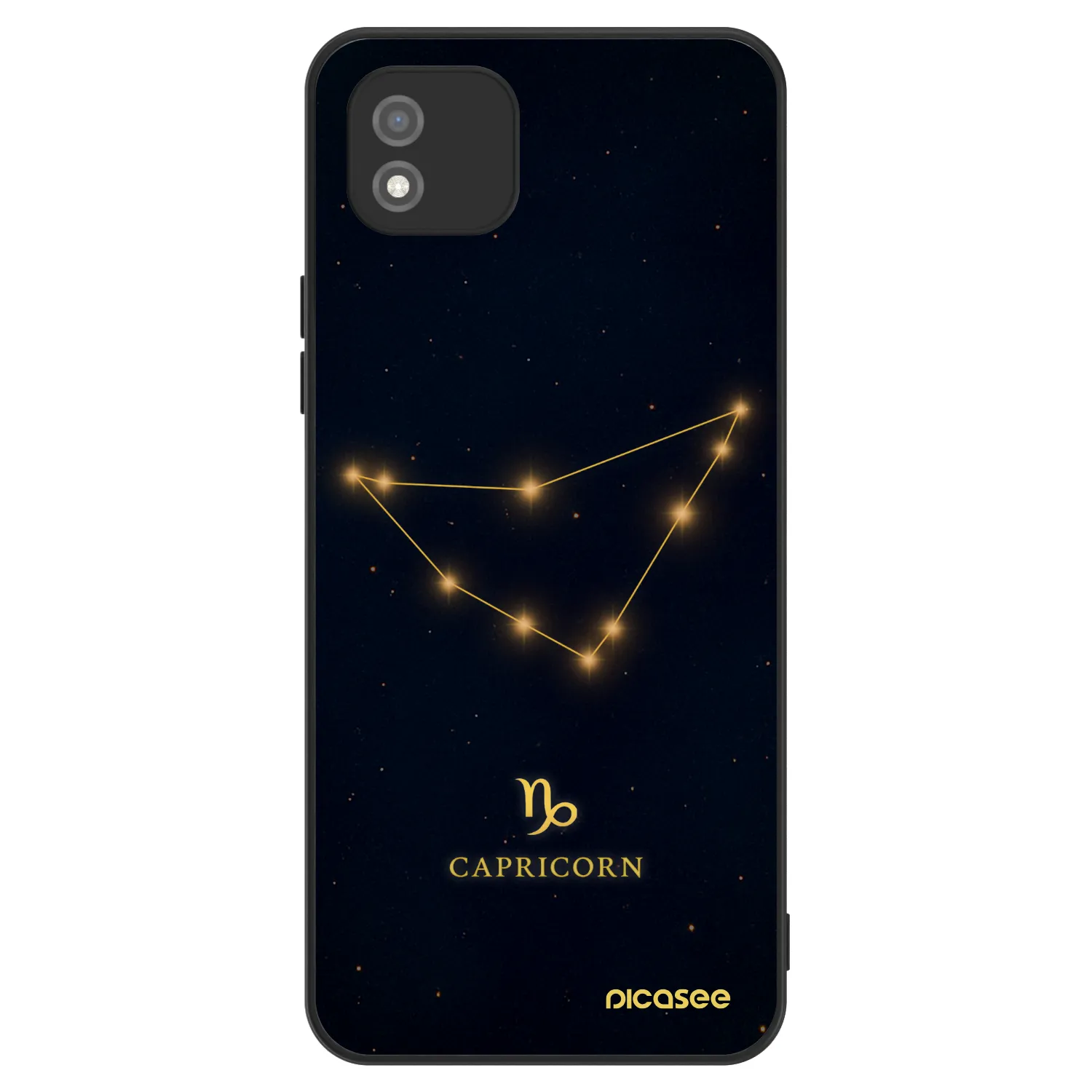 Picasee ULTIMATE CASE za Realme C11 (2021) - CAPRICORN