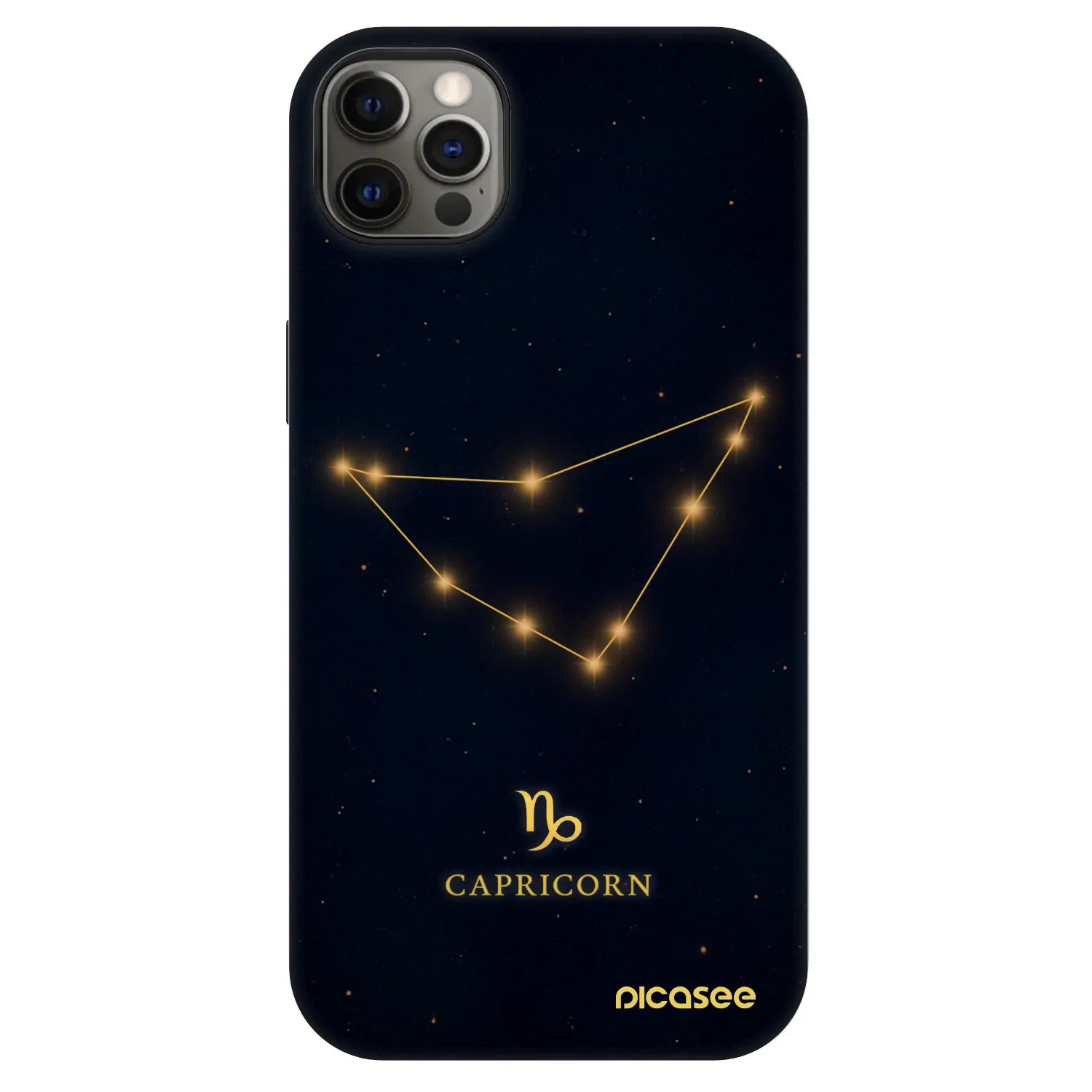 Picasee Fashion Case MagSafe za Apple iPhone 12 Pro Max - CAPRICORN