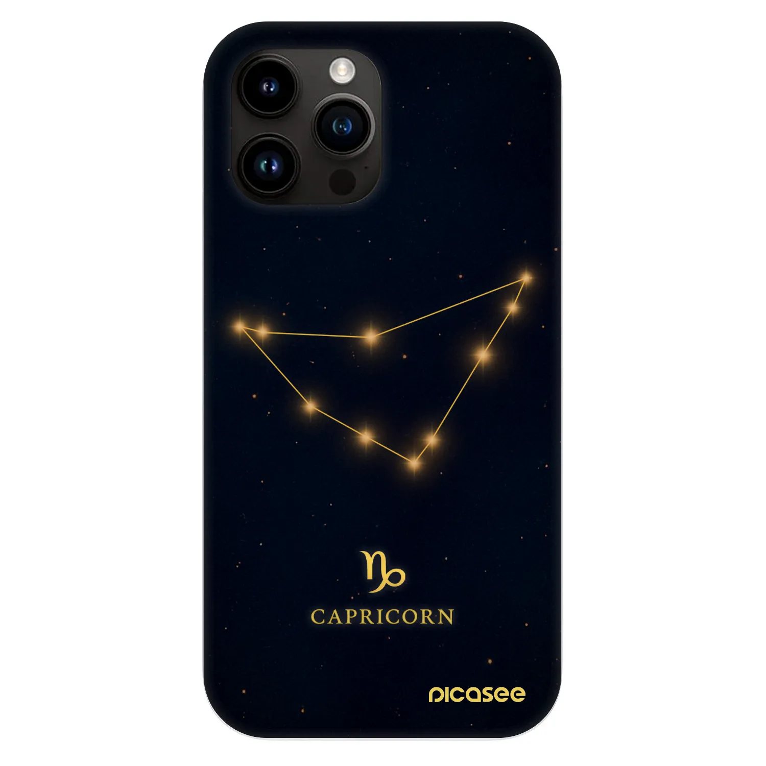 Picasee Fashion Case MagSafe za Apple iPhone 13 Pro Max - CAPRICORN