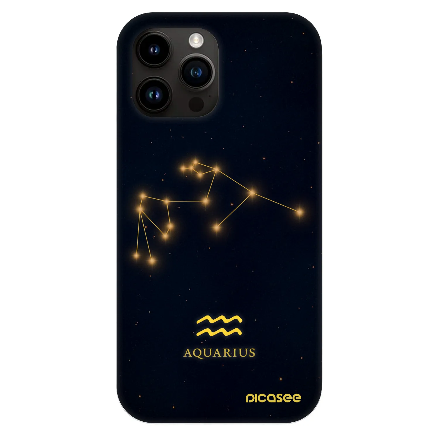 Picasee Fashion Case MagSafe za Apple iPhone 13 Pro Max - AQUARIUS