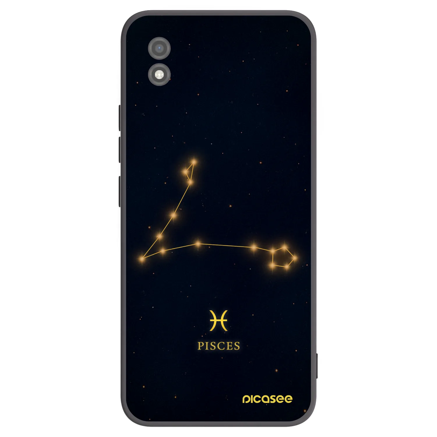 Picasee crna silikonska maskica za Realme C11 (2021) - PISCES