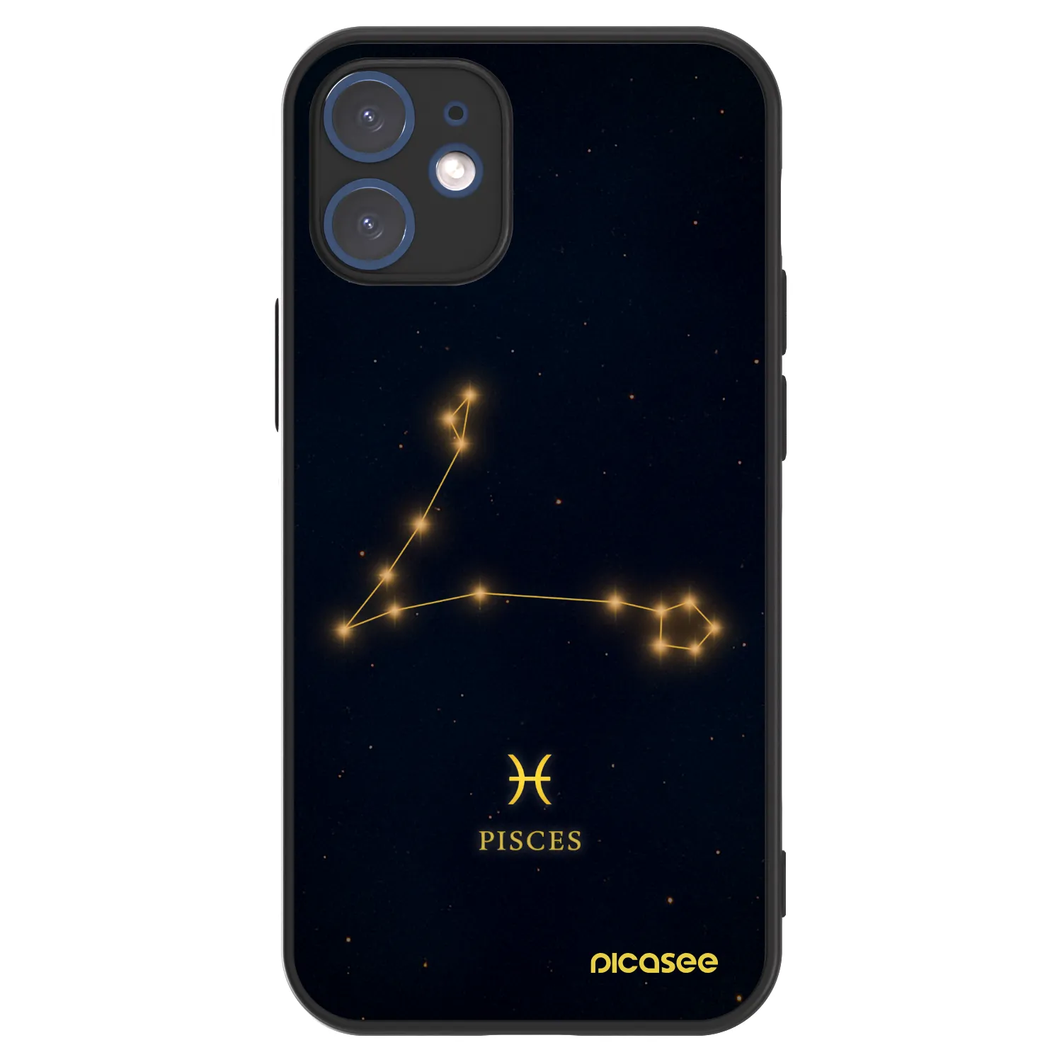 Picasee ULTIMATE CASE MagSafe za Apple iPhone 12 mini - PISCES