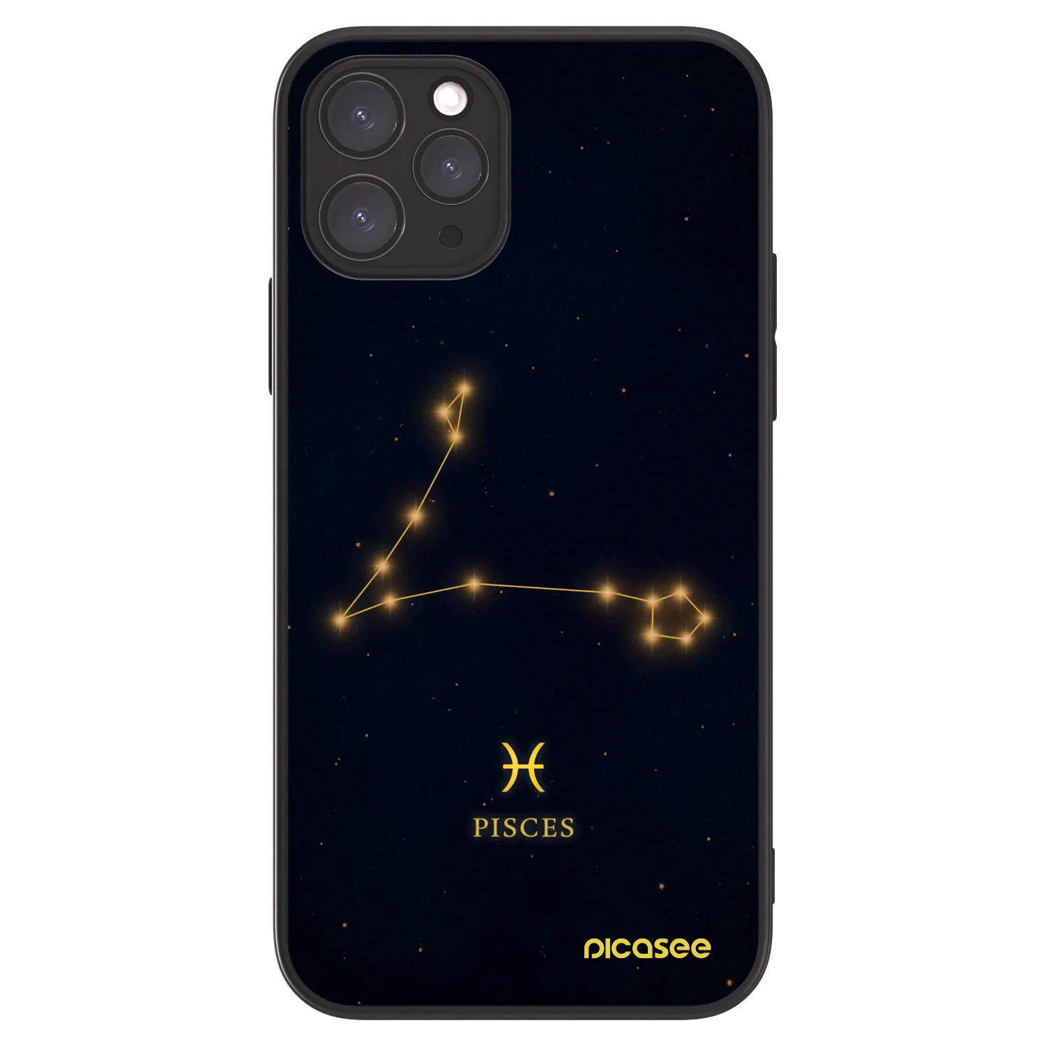 Picasee ULTIMATE CASE MagSafe za Apple iPhone 11 Pro - PISCES