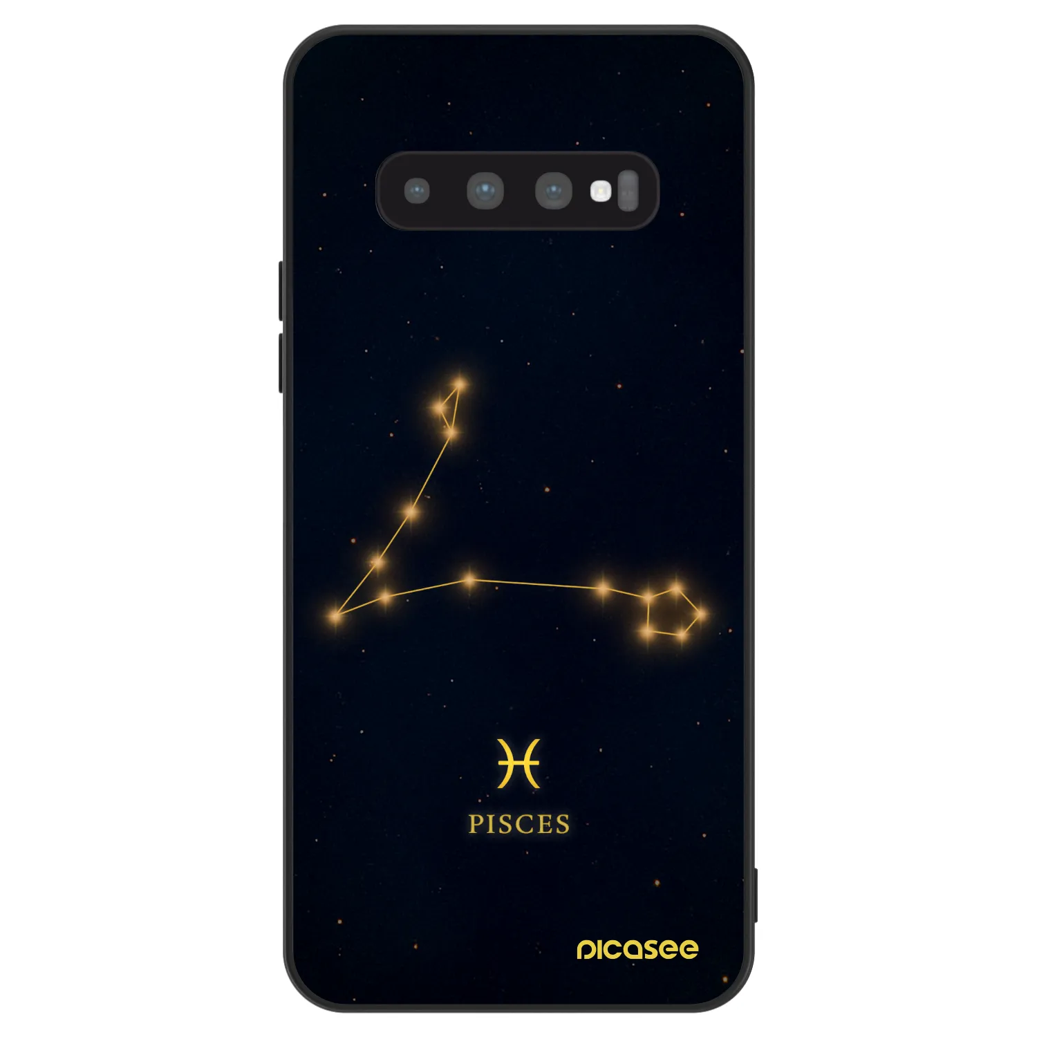 Picasee ULTIMATE CASE za Samsung Galaxy S10 Plus G975 - PISCES