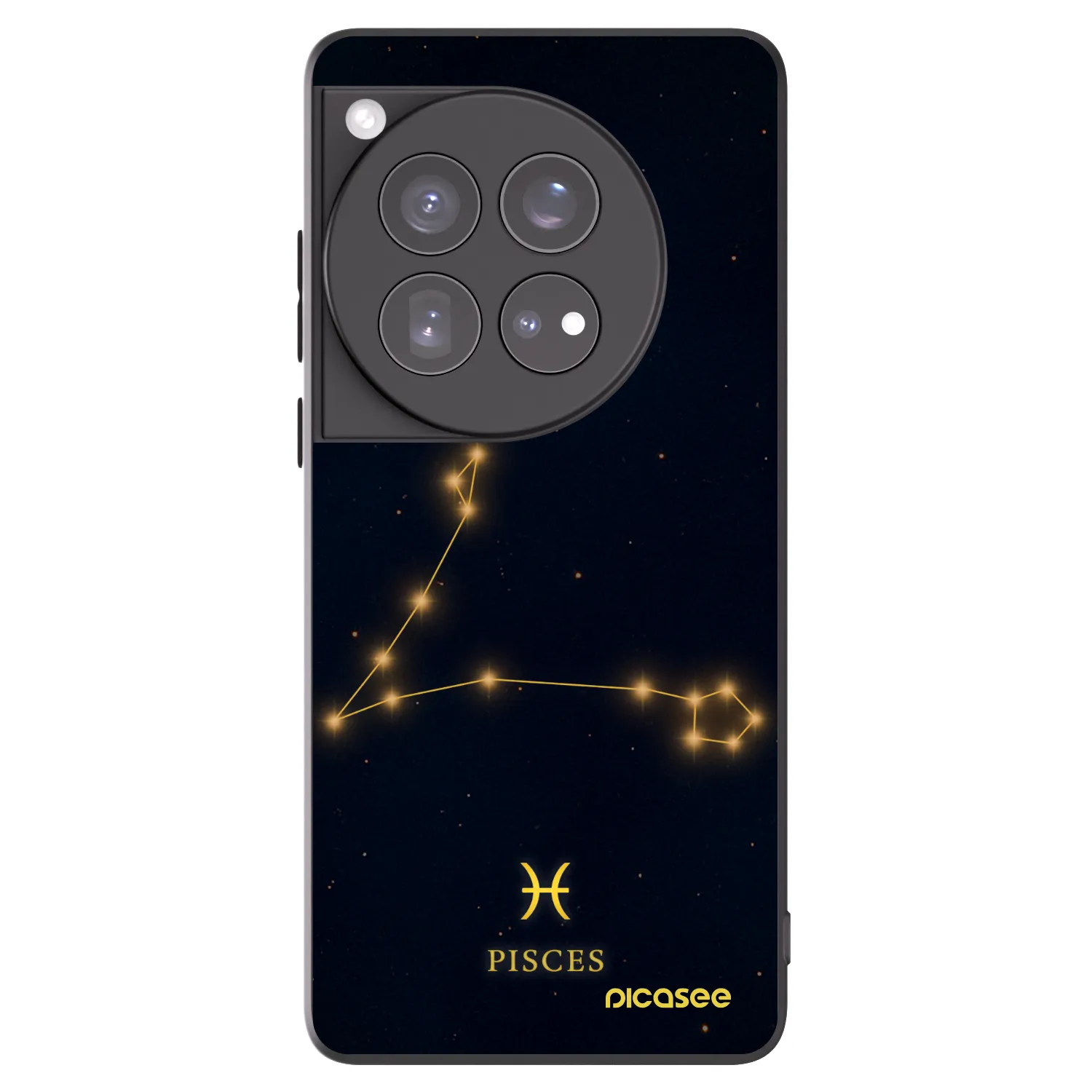 Picasee crna silikonska maskica za OnePlus 12 5G - PISCES