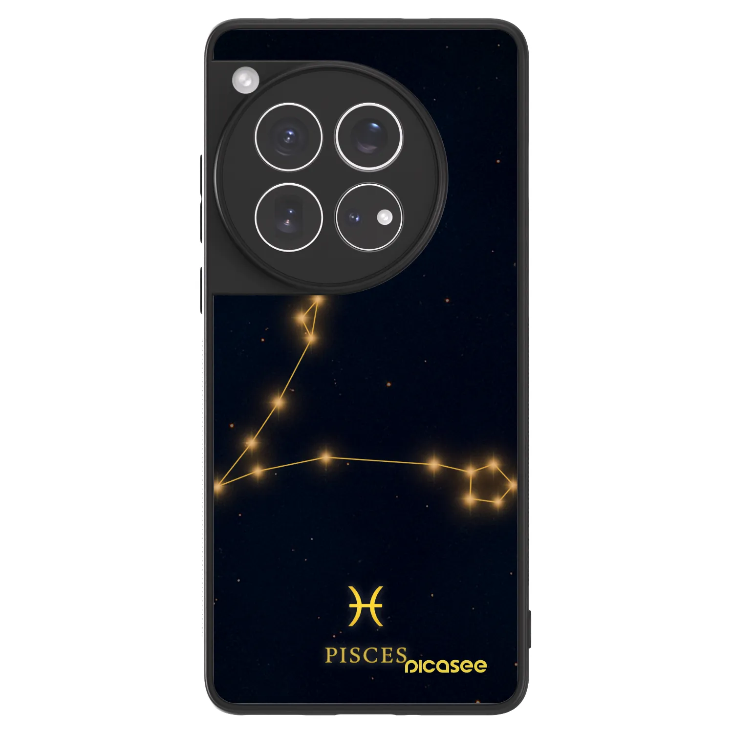 Picasee ULTIMATE CASE za OnePlus 12 5G - PISCES