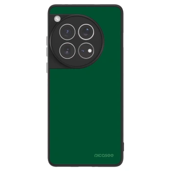 Picasee ULTIMATE CASE za OnePlus 12 5G - Green Gleam