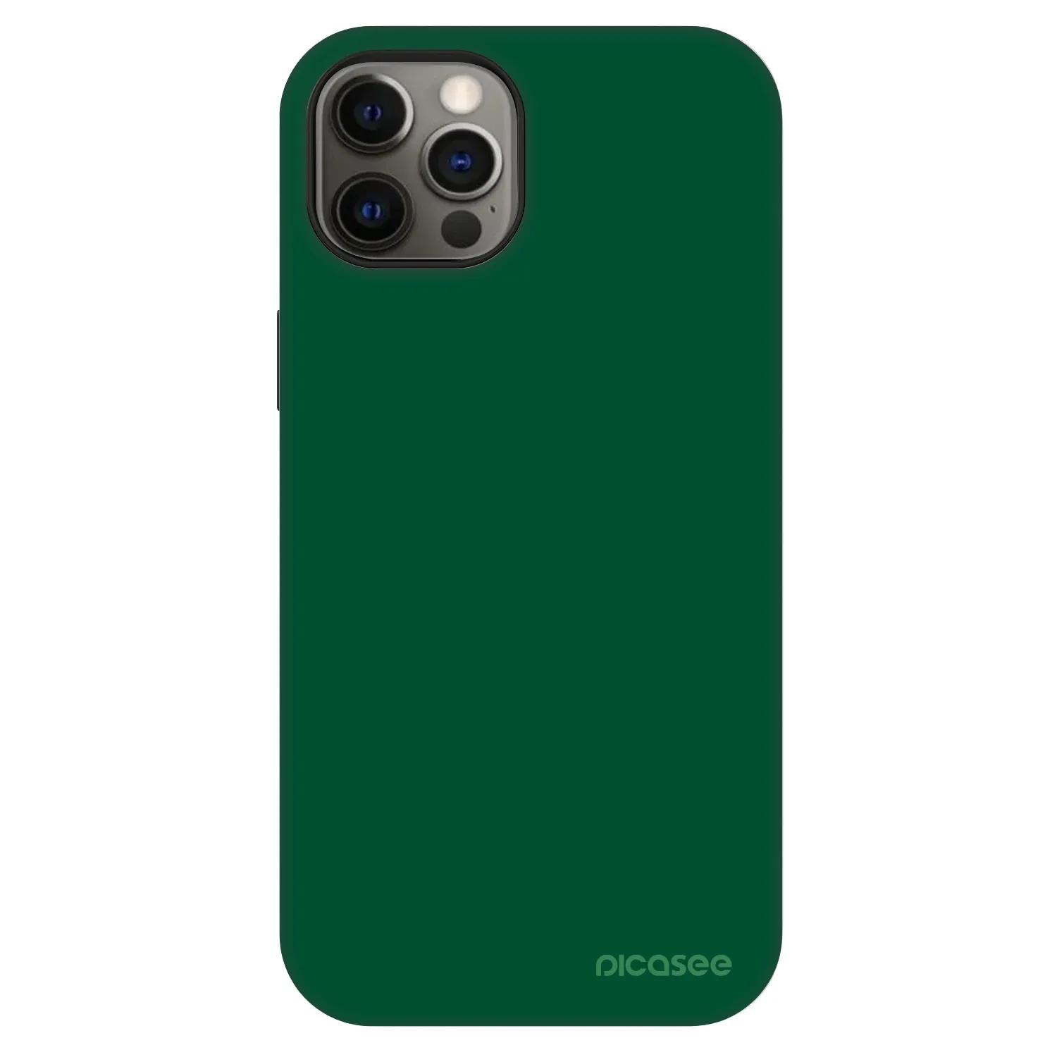Picasee Fashion Case MagSafe za Apple iPhone 12 - Green Gleam