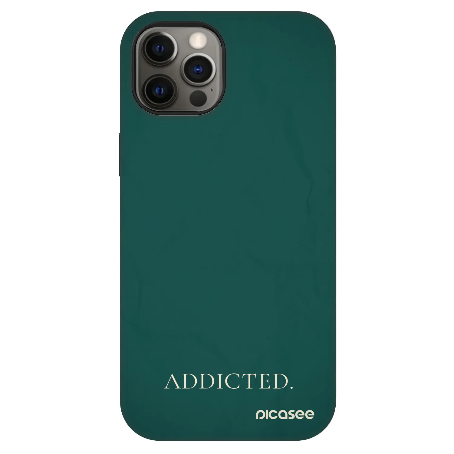 Picasee Fashion Case MagSafe za Apple iPhone 12 - Addicted