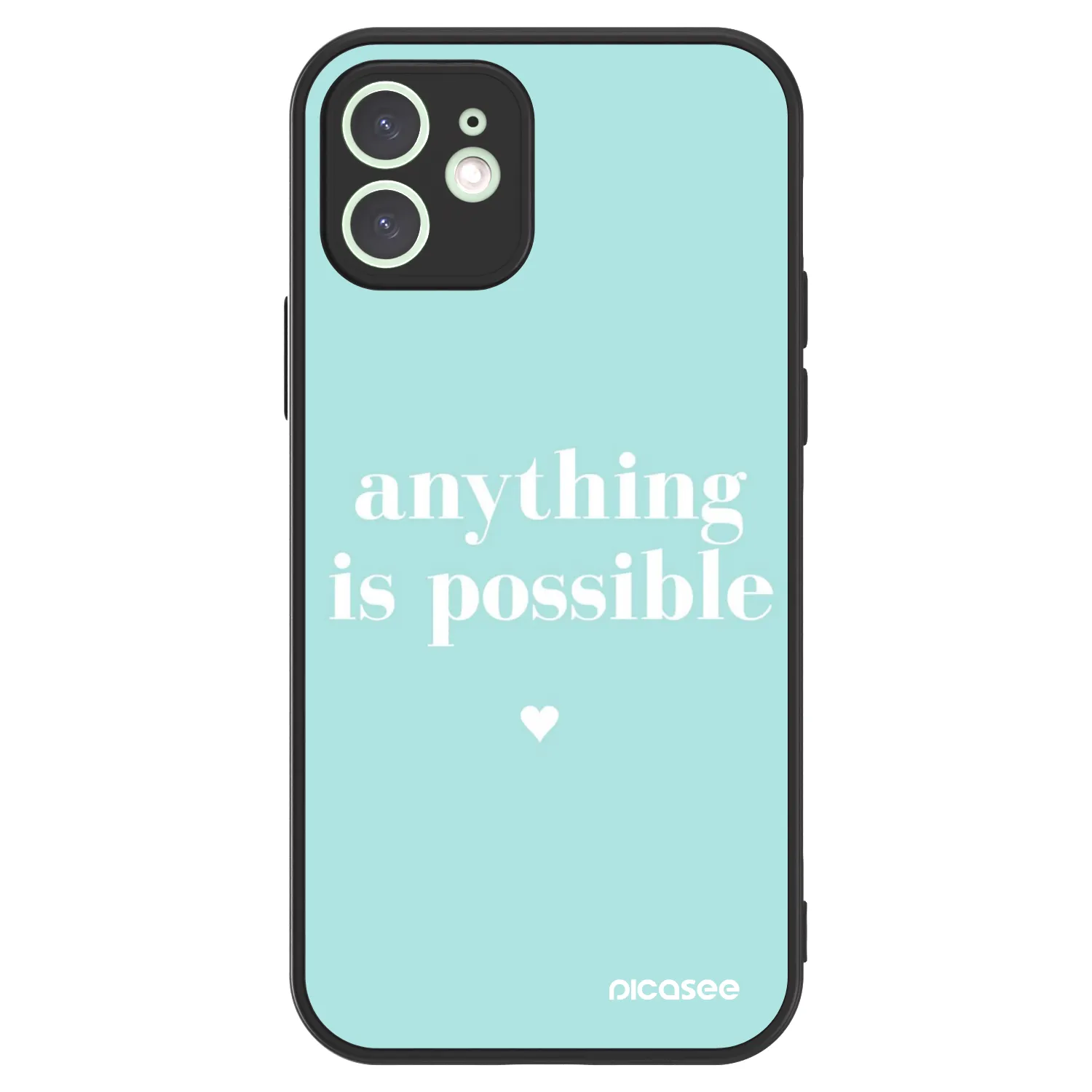 Picasee ULTIMATE CASE MagSafe za Apple iPhone 12 - Anything is possible