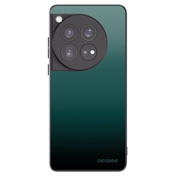 Picasee crna silikonska maskica za OnePlus 12 5G - Verdant Fade