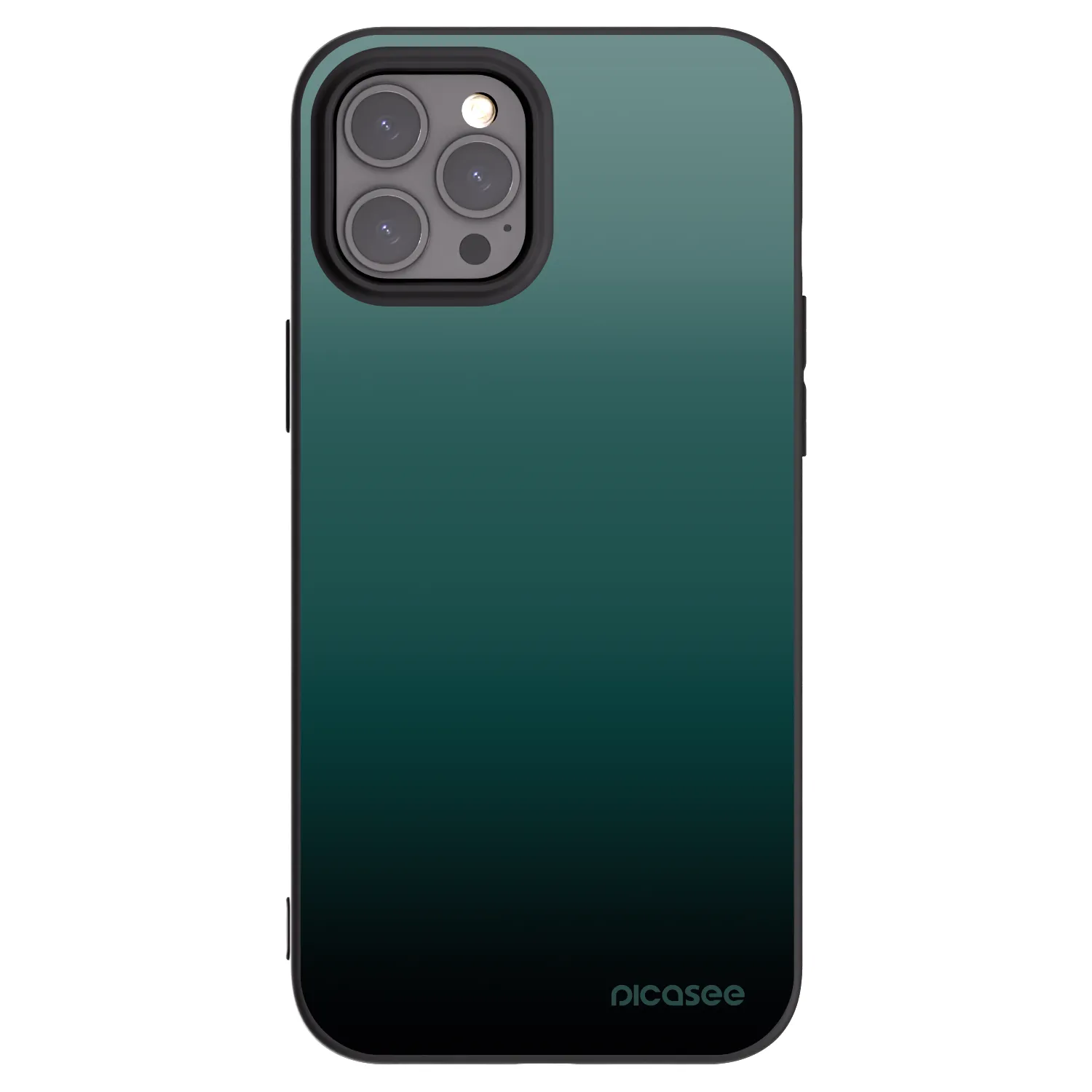 Picasee crna silikonska maskica za Apple iPhone 12 Pro Max - Verdant Fade