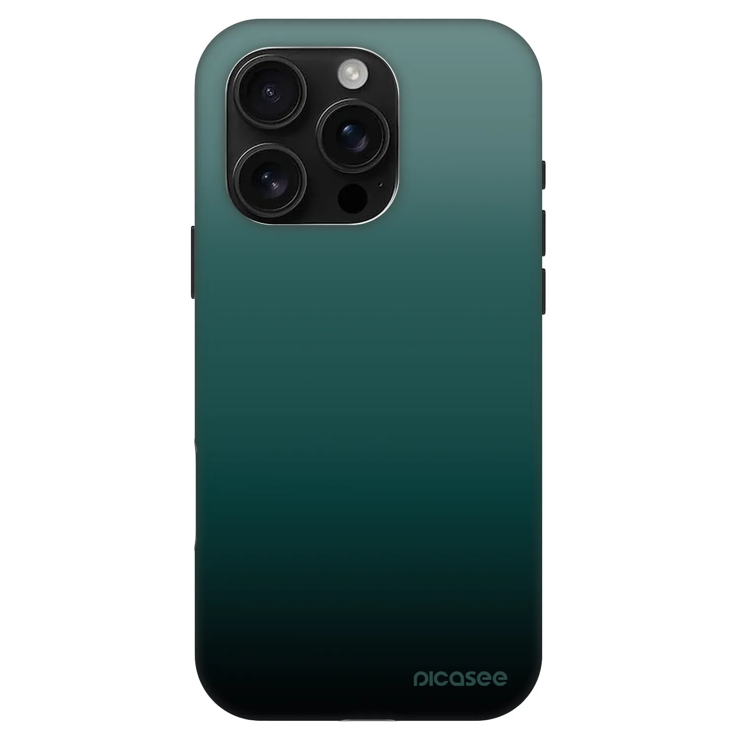 Picasee Fashion Case MagSafe za Apple iPhone 16 Pro - Verdant Fade