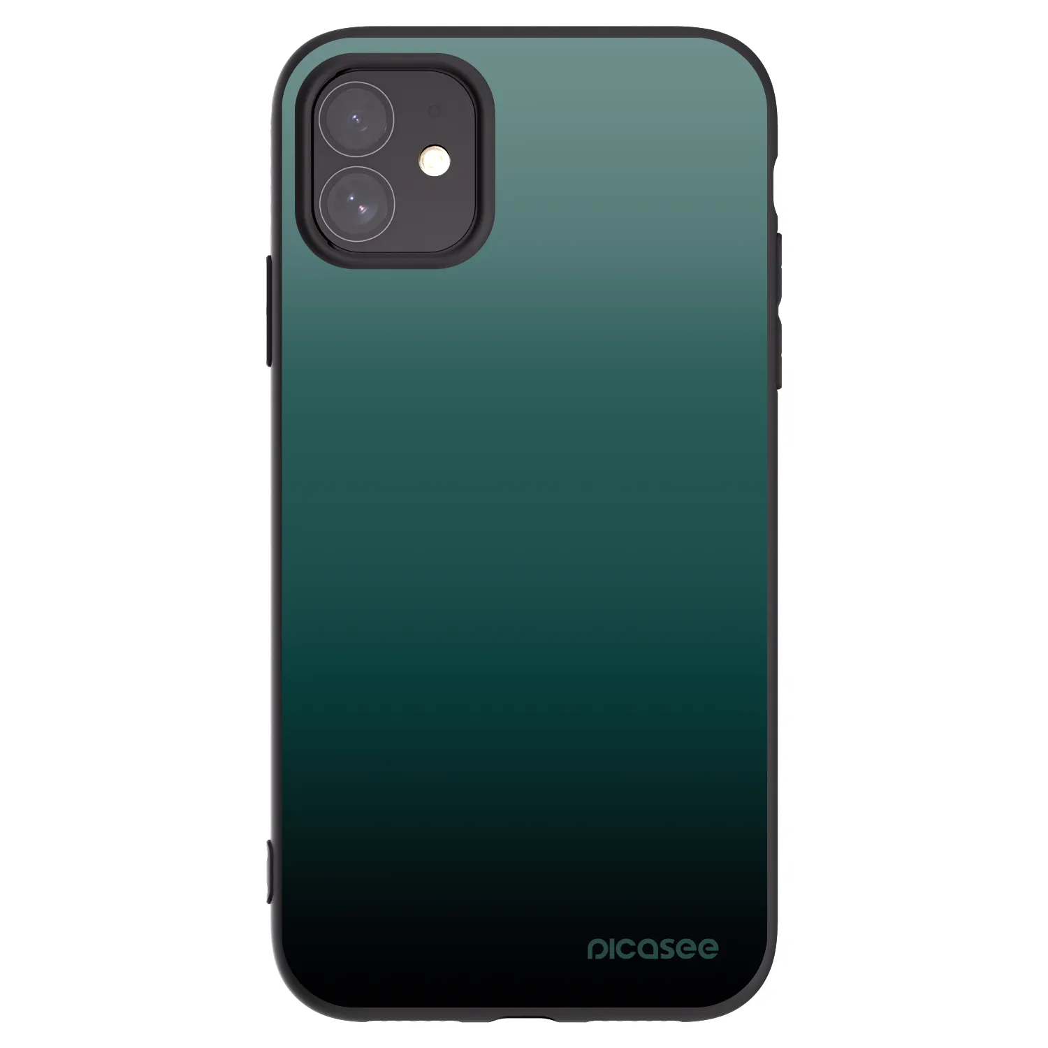 Picasee crna silikonska maskica za Apple iPhone 11 - Verdant Fade