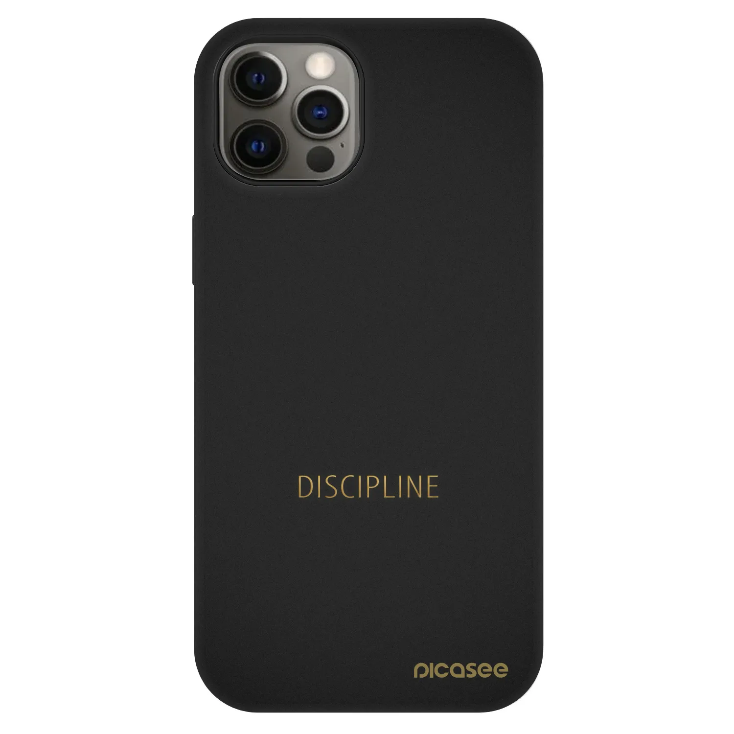 Picasee Fashion Case MagSafe za Apple iPhone 12 - Discipline